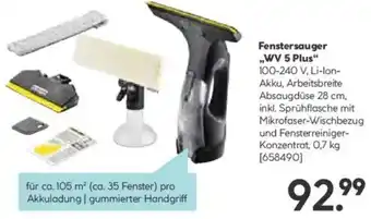 Hellweg Fenstersauger WV 5 Plus Angebot