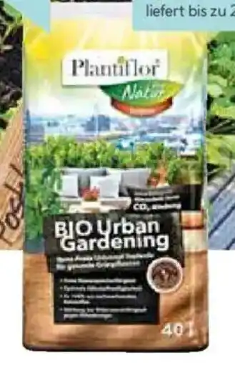 Hellweg BIO Urban Gardening Angebot