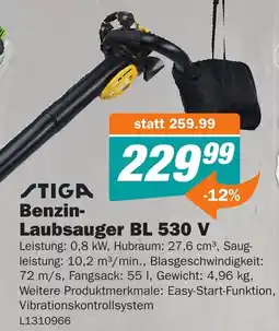 Let's Do It Baumarkt Benzin- Laubsauger BL 530 V Angebot