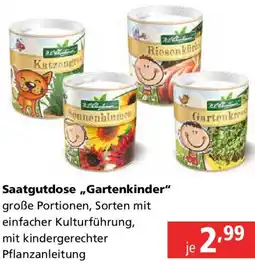 Pagro Diskont Saatgutdose Gartenkinder Angebot