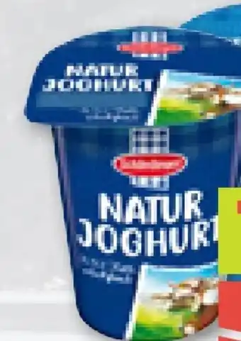 ADEG Schärdinger Naturjoghurt Angebot