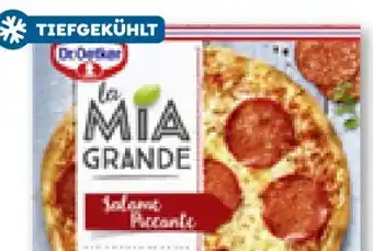 ADEG Dr. Oetker Pizza La Mia Grande Angebot