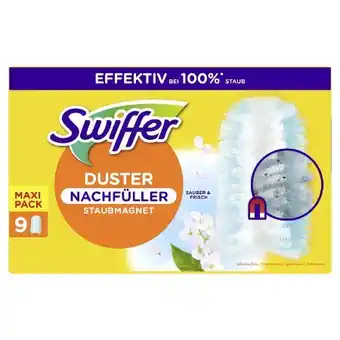 dm Swiffer Duster-Staubmagnet Angebot