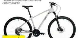 Hofer HAWK Mountainbike Trail One Angebot