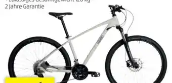 Hofer HAWK Mountainbike Trail One Angebot