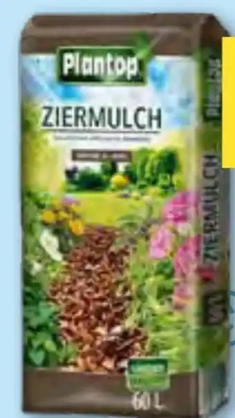 T&G Plantop Ziermulch Angebot