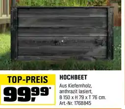 OBI Hochbeet Angebot