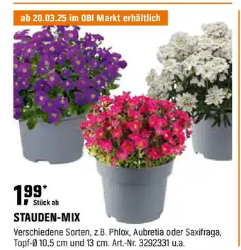 OBI Stauden-mix Angebot