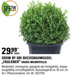 OBI Grow by obi buchsbaumkugel Angebot