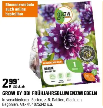 OBI Grow by obi frühjahrsblumenzwiebeln Angebot