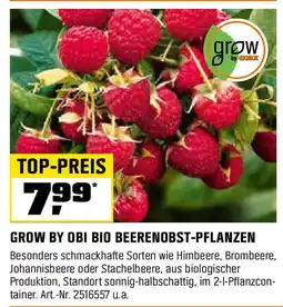 OBI Grow by obi bio beerenobst-pflanzen Angebot