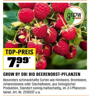 OBI Grow by obi bio beerenobst-pflanzen Angebot