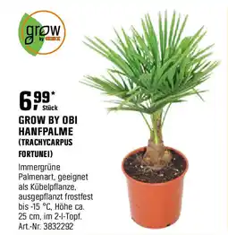 OBI Grow by obi hanfpalme Angebot