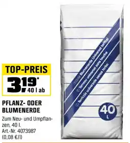 OBI Pflanz- oder blumenerde Angebot