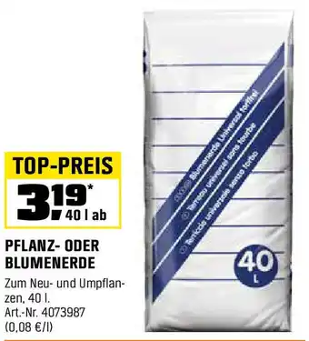 OBI Pflanz- oder blumenerde Angebot