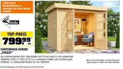 OBI Gartenhaus karibu ,,speedy Angebot