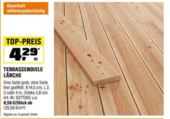 OBI Terrassendiele lärche Angebot