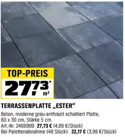 OBI Terrassenplatte,,ester Angebot