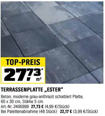 OBI Terrassenplatte,,ester Angebot