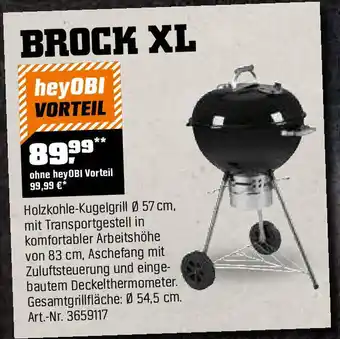 OBI Brock xl Angebot