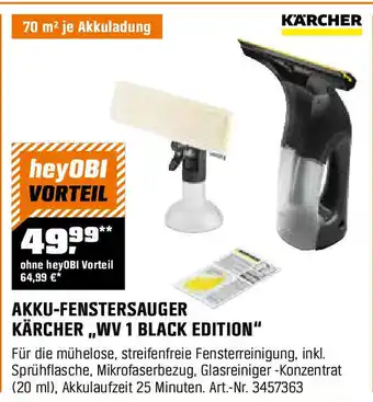 OBI Akustikpaneel fn acustico risseiche Angebot