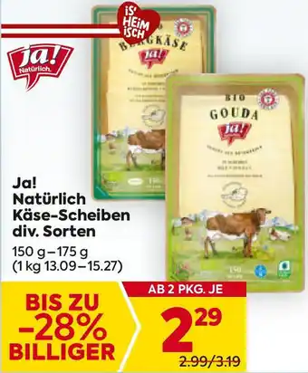 Billa Käse-Scheiben Angebot