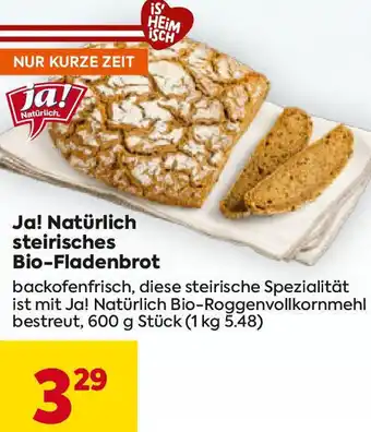 Billa steirisches Bio-Fladenbrot Angebot