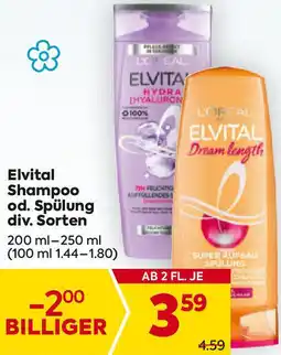 Billa Shampoo od. Spülung Angebot