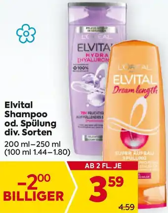 Billa Shampoo od. Spülung Angebot