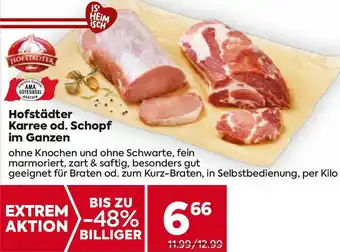 Billa Karree od. Schopf Angebot