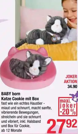 Maximarkt Katze Cookie mit Box Angebot