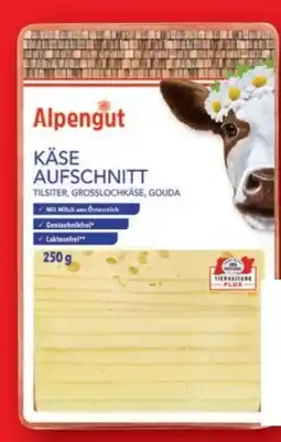 Lidl Alpengut Käse Aufschnitt Angebot