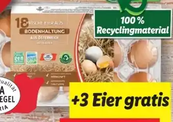 Lidl Eier Angebot