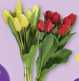 Lidl Tulpenstrauß Einfärbig Angebot