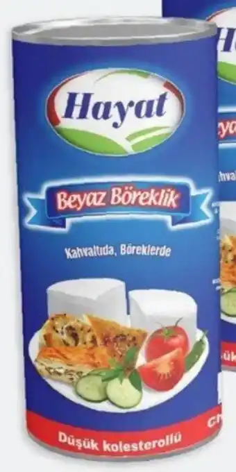 ETSAN Hayat Beyaz Kombi Angebot