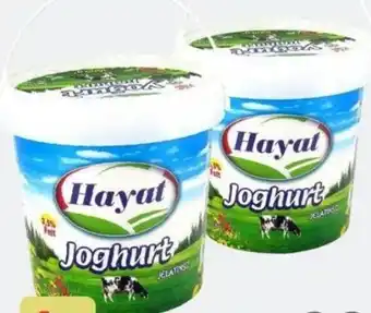 ETSAN Hayat Joghurt Angebot