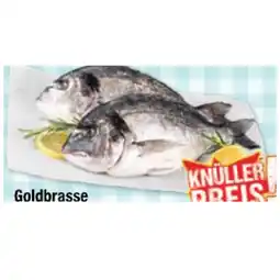 Maximarkt Goldbrasse Maximarkt Angebot