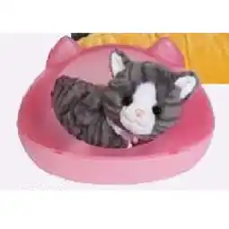 Maximarkt Spielzeug Katze Cookie mit Box maxi.preisjoker Maximarkt Angebot