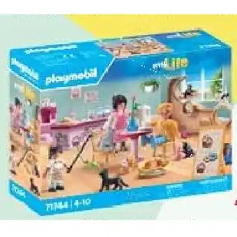 Maximarkt Spielzeug 71744 Katzencafe maxi.preisjoker Maximarkt Angebot