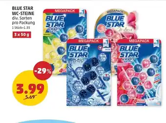 PENNY Blue star wc-steine Angebot