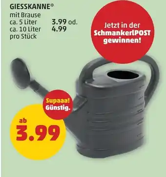 PENNY Giesskanne Angebot