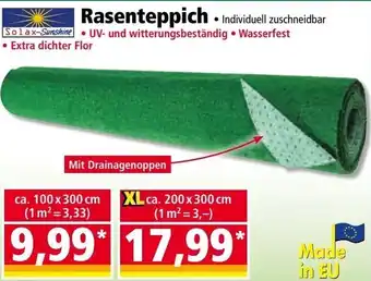 Norma Rasenteppich Angebot