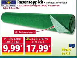 Norma Rasenteppich Angebot