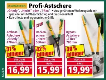 Norma Profi-astschere Angebot