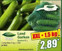 Norma Land gurken Angebot