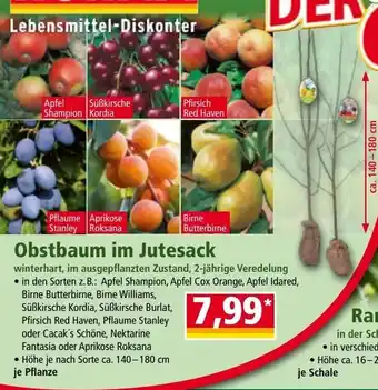 Norma Obstbaum im jutesack Angebot