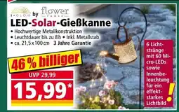 Norma Led-solar-gießkanne Angebot