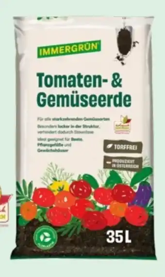 Lagerhaus Immergrün Bio-Tomaten-Gemüseerde Angebot