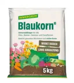 Lagerhaus Immergrün Blaukorn Angebot