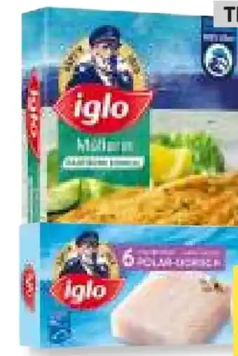 MPreis Iglo Polardorsch Angebot